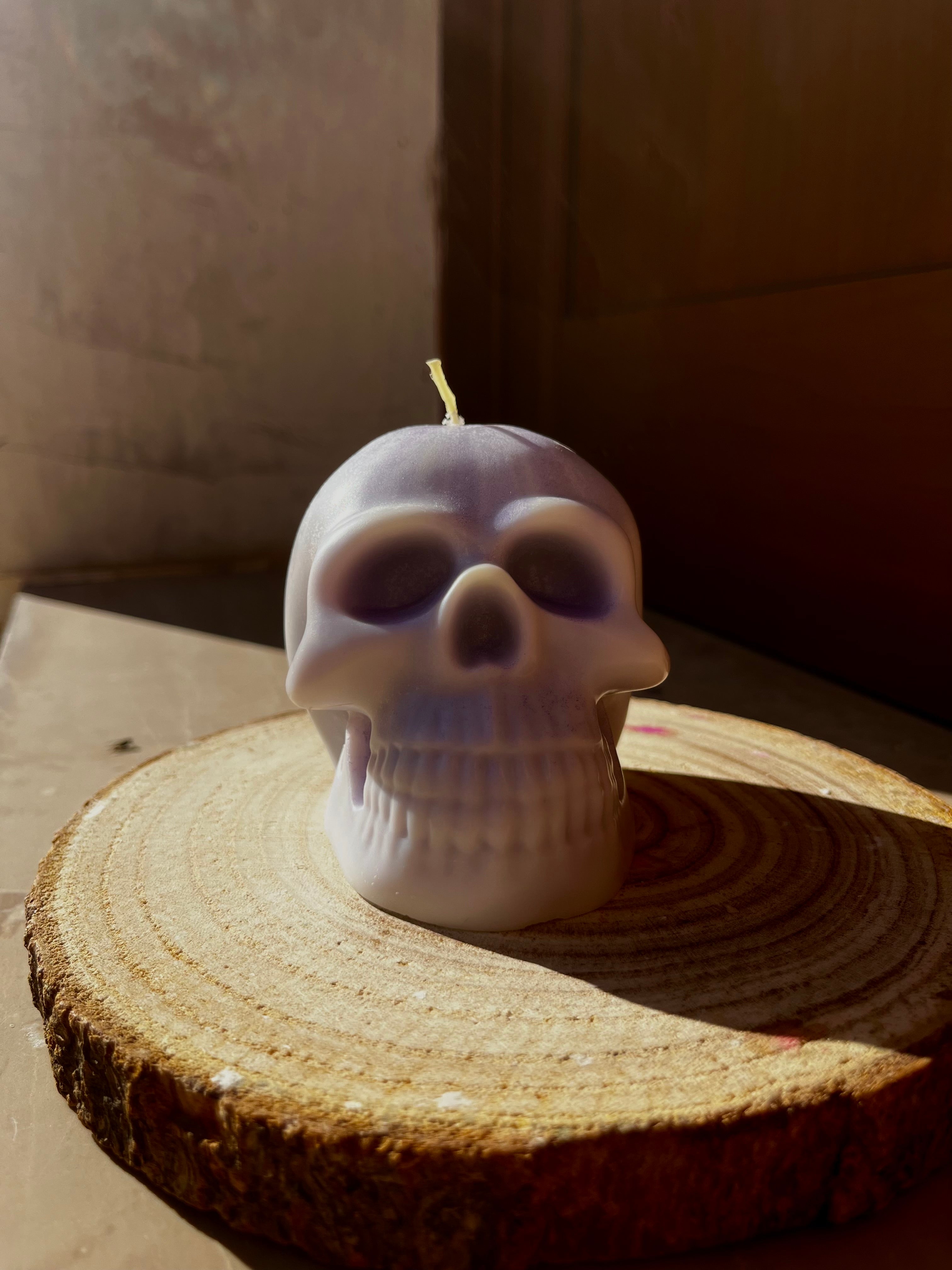 SKELETON