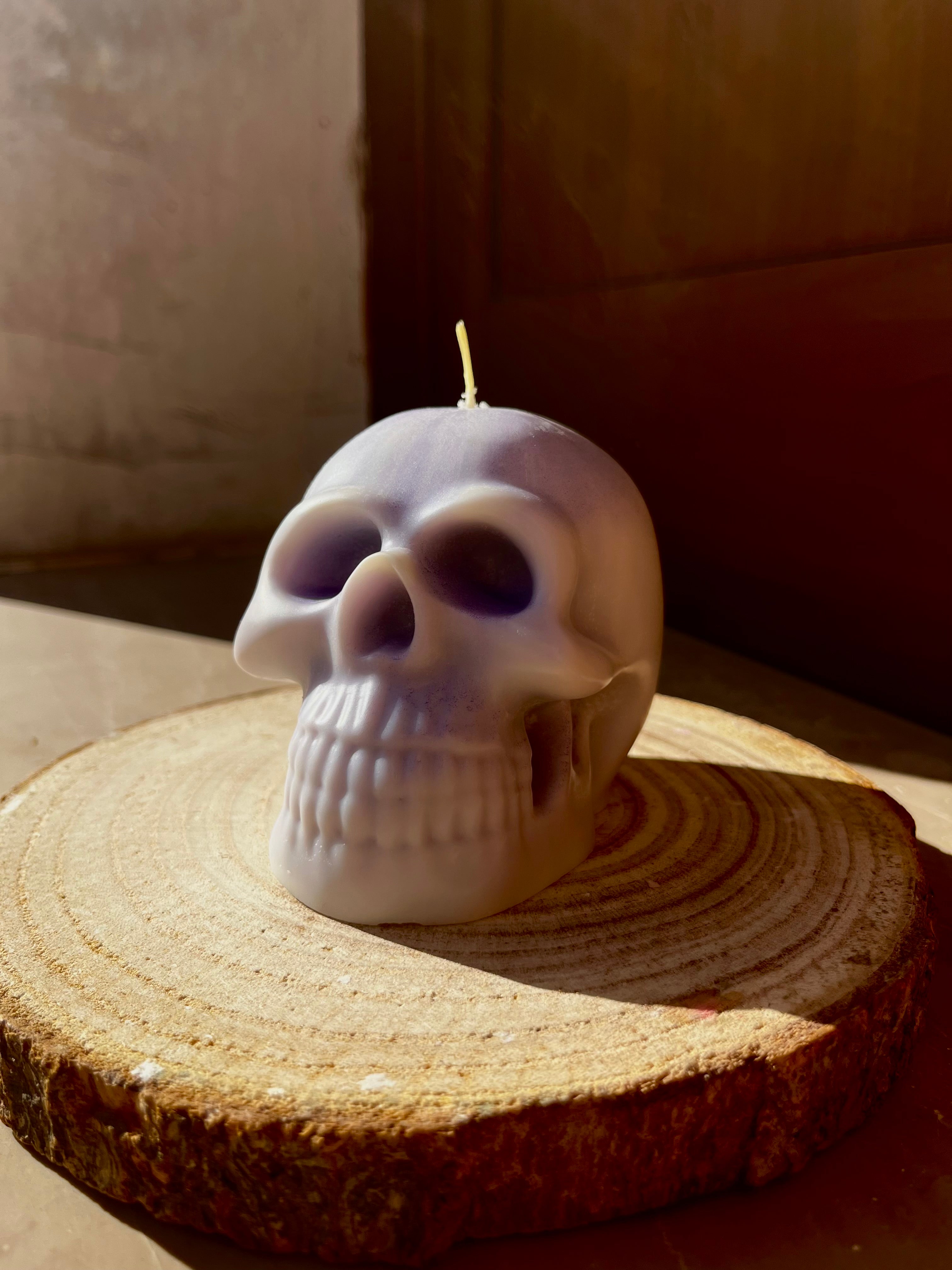 SKELETON