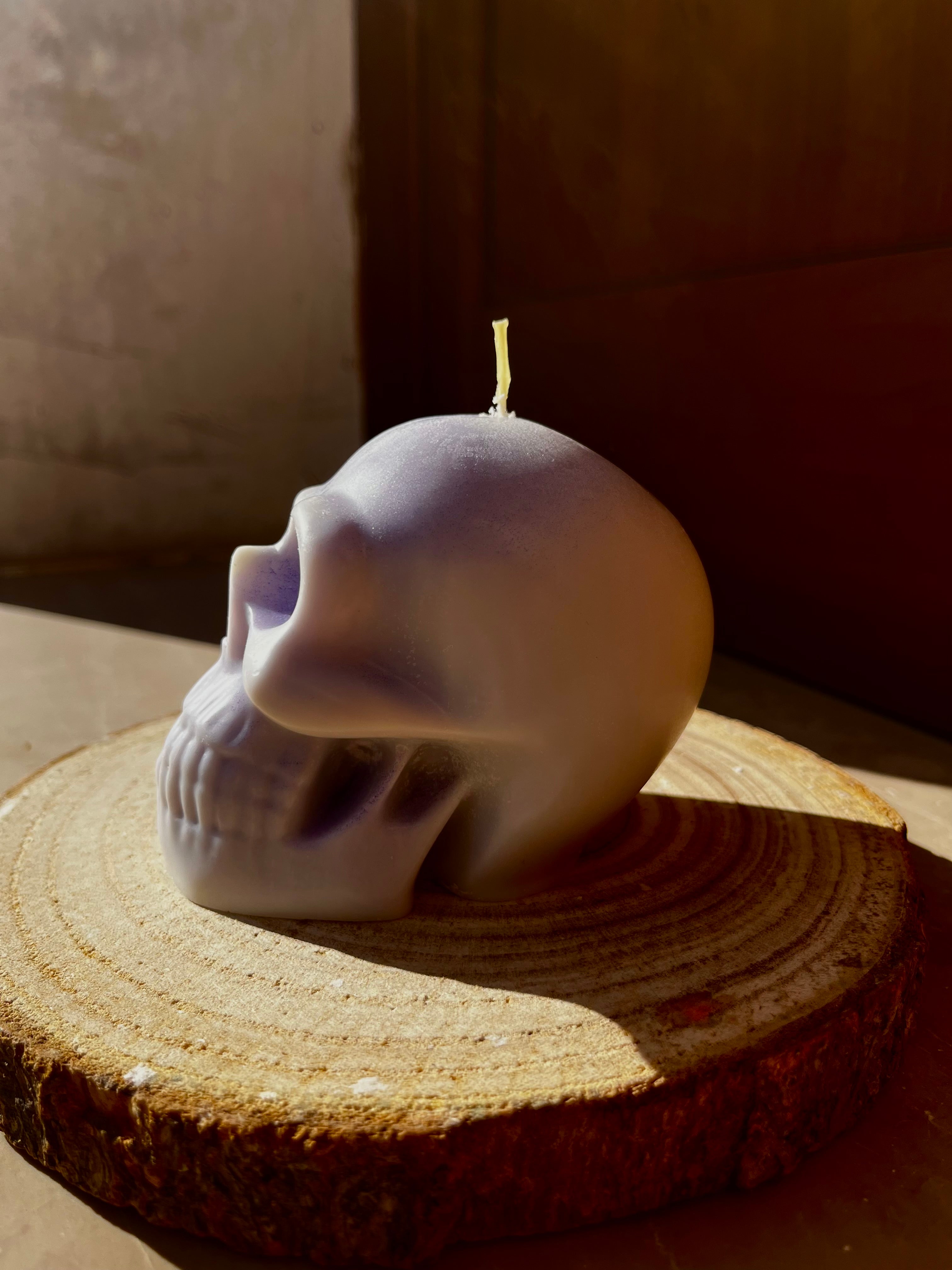 SKELETON