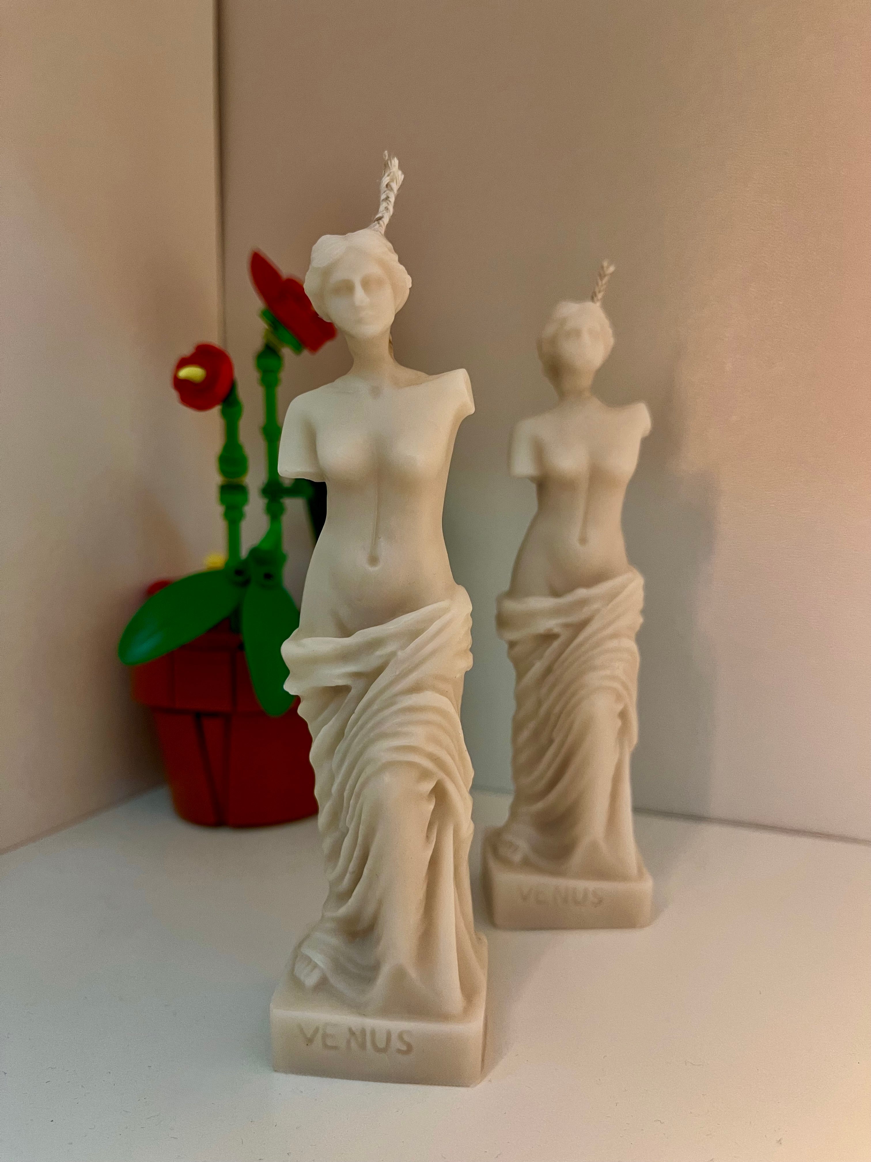 VENUS