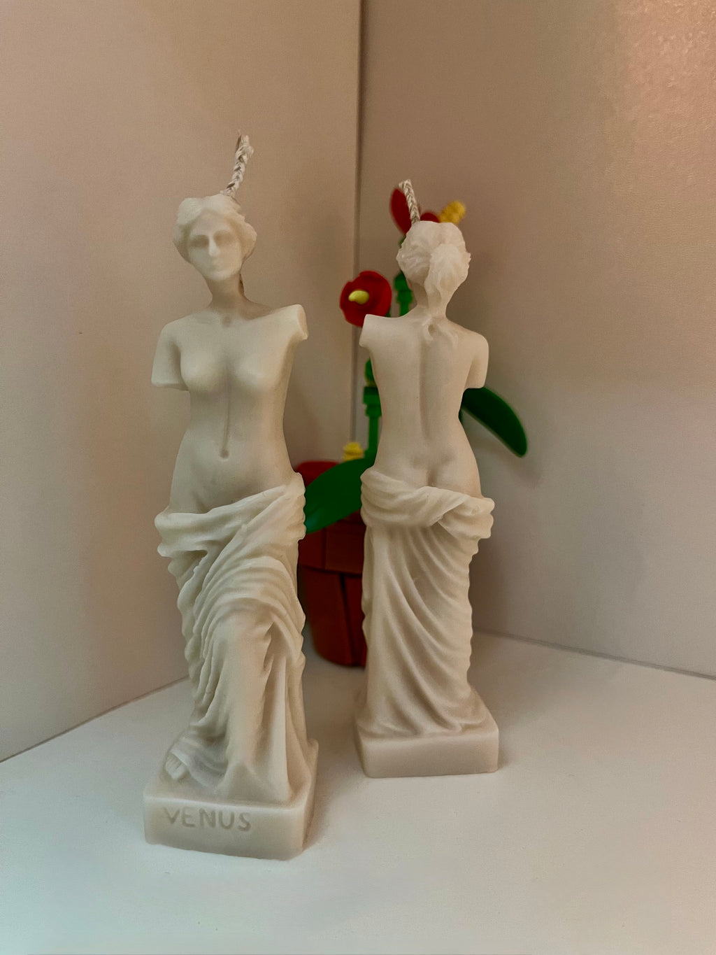 VENUS