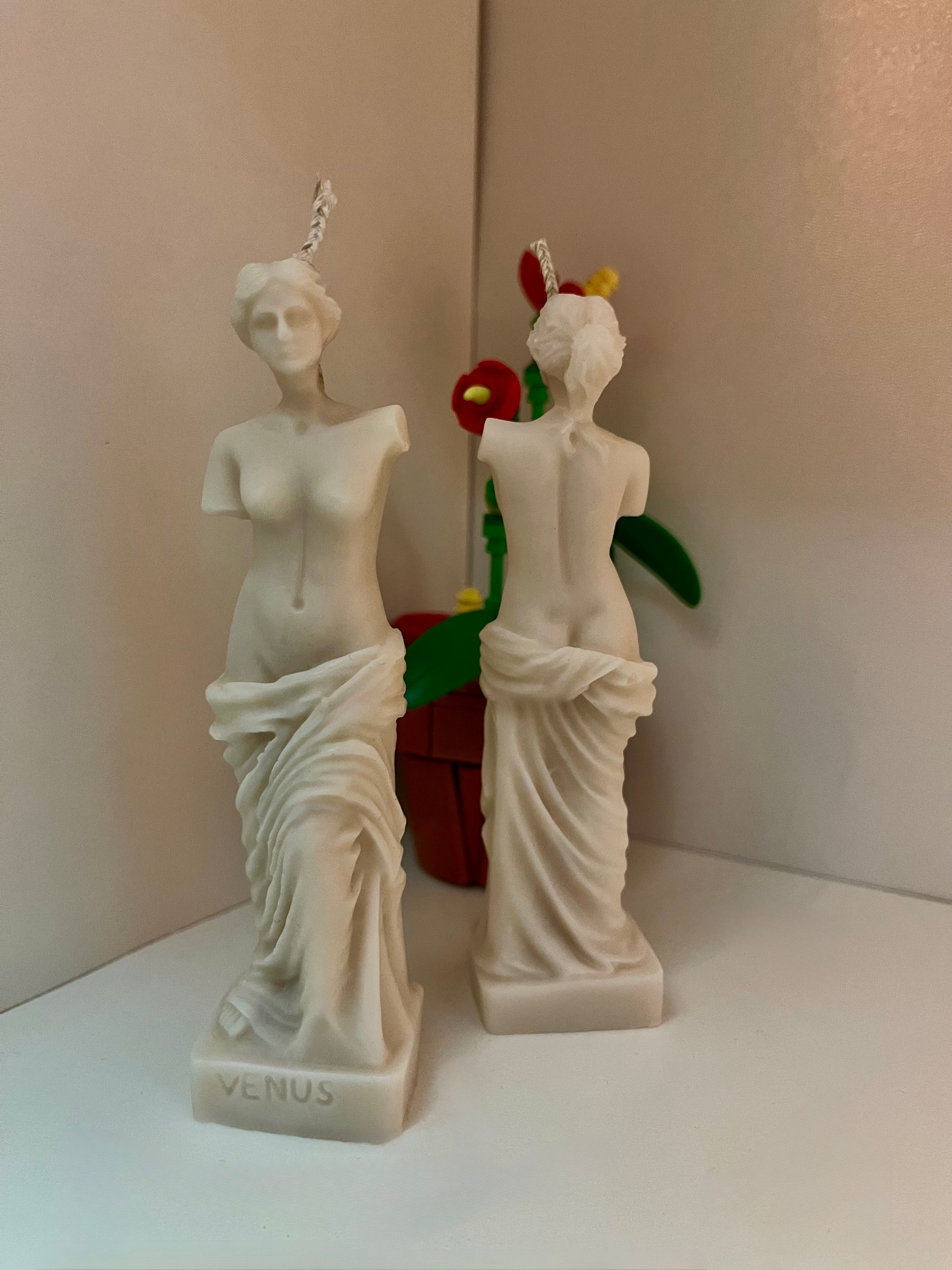 VENUS